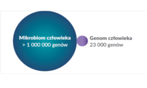 mikrobiom 2 300x179 Probiotyki, prebiotyki i mikrobiom