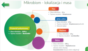 mikrobiom 6 300x174 Probiotyki, prebiotyki i mikrobiom